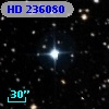 HD 236080