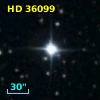 HD  36099