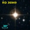 HD  36949