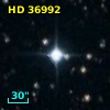 HD  36992