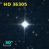 HD  36305