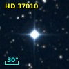 HD  37010