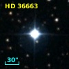 HD  36663