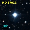 HD  37011