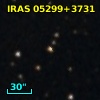 IRAS 05299+3731