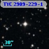 TYC 2909-229-1