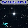 TYC 2910-1017-1