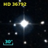 HD  36792
