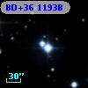 BD+36  1193B