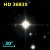 HD  36835