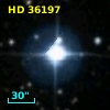 HD  36197