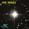 HD  36042