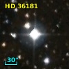 HD  36181