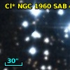 Cl* NGC 1960    SAB      40