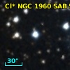Cl* NGC 1960    SAB      53