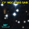Cl* NGC 1960    SAB      37