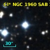 Cl* NGC 1960    SAB      17