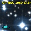 Cl* NGC 1960    SAB      96