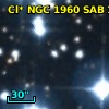 Cl* NGC 1960    SAB     105