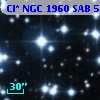 Cl* NGC 1960    SAB      51