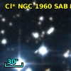 Cl* NGC 1960    SAB      81