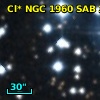 Cl* NGC 1960    SAB     100