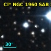 Cl* NGC 1960    SAB      38