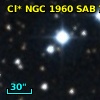 Cl* NGC 1960    SAB      74