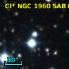 Cl* NGC 1960    SAB      86