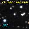 Cl* NGC 1960    SAB     113