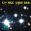 Cl* NGC 1960    SAB      42
