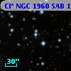 Cl* NGC 1960    SAB     104