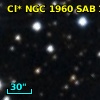 Cl* NGC 1960    SAB     103