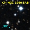 Cl* NGC 1960    SAB     118