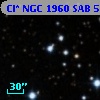 Cl* NGC 1960    SAB      52
