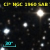 Cl* NGC 1960    SAB      71