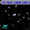 Cl* NGC 1960    SAB      54