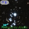 ** SEI   272