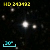 HD 243492