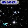 HD 243771