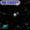 HD 243919