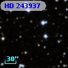 HD 243937