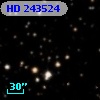 HD 243524
