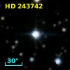 HD 243742