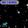 HD 243988