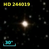 HD 244019