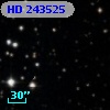 HD 243525