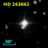 HD 243662