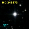 HD 243873