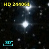 HD 244061